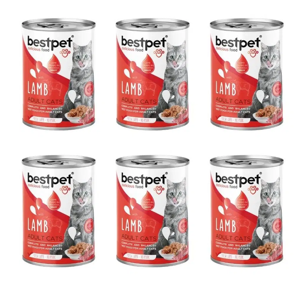 Bestpet Kuzu Etli Jöleli Yetişkin Kedi Konservesi 400 gr 6'lı Paket