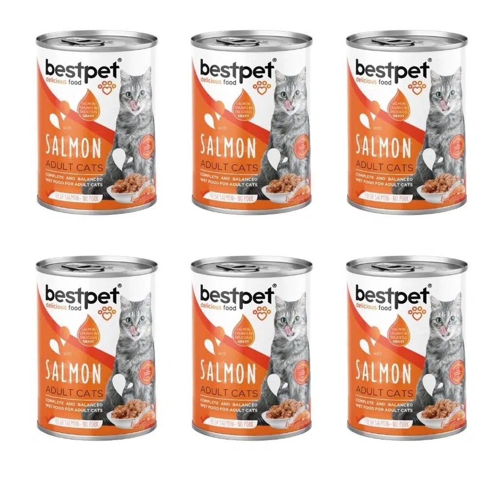 Bestpet Somonlu Jöleli Yetişkin Kedi Konservesi 400 Gr x 6 Adet