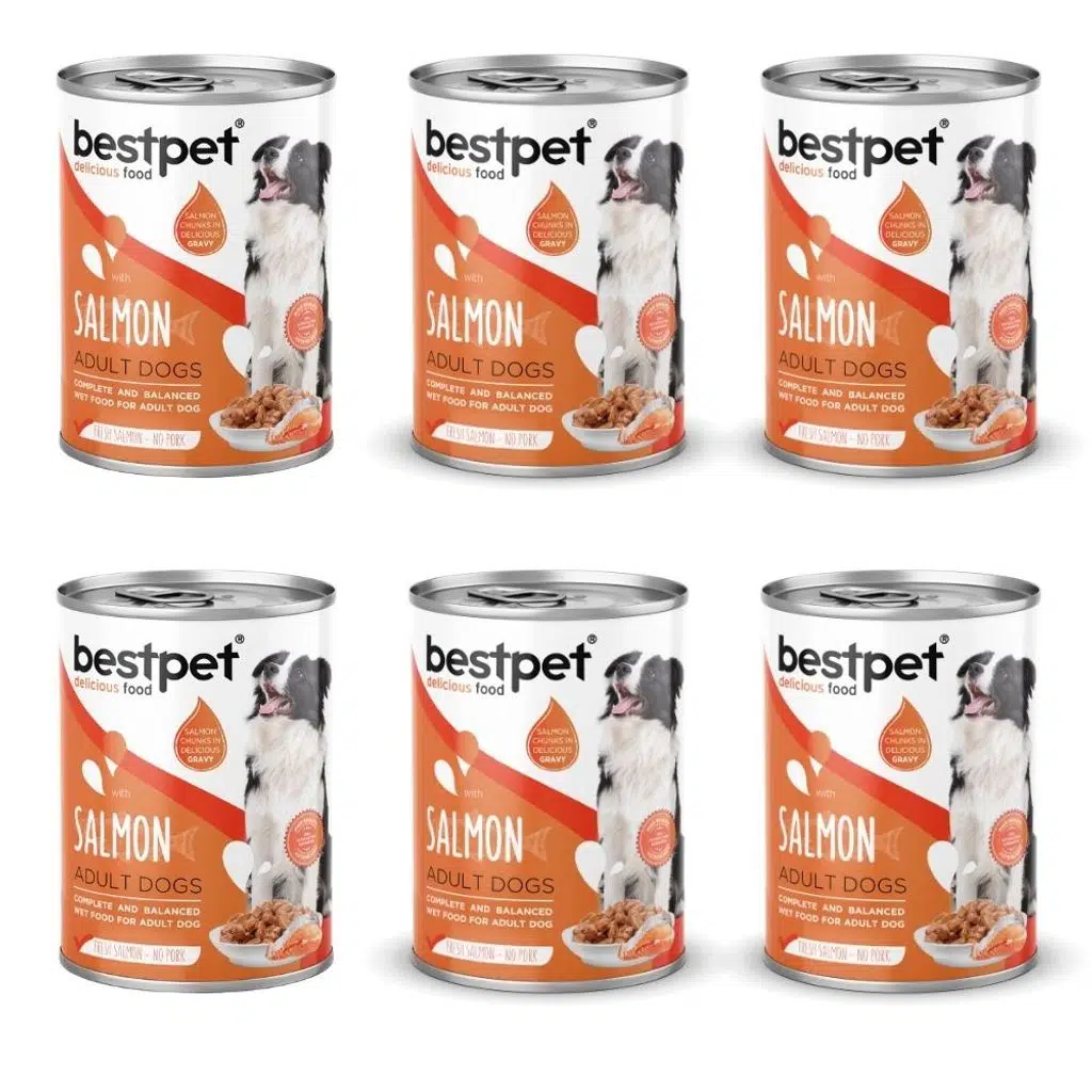 Bestpet Somon Balıklı Köpek Konservesi 400 gr 6'lı Paket