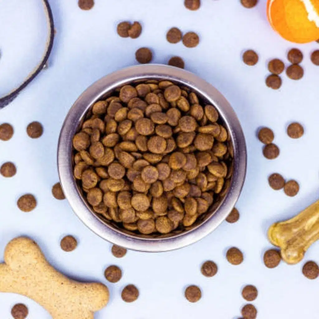 Nutri Feline Somonlu Tahılsız Kısırlaştırılmış Açık Kedi Maması 2 Kg