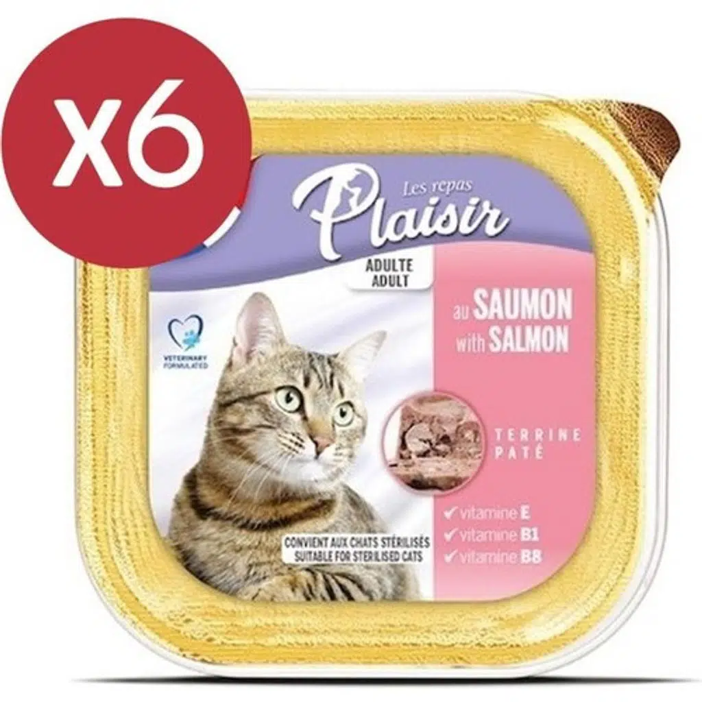 Plaisir Pate Somonlu Kedi Konservesi 6X100 gr